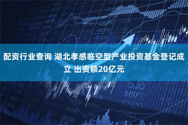 配资行业查询 湖北孝感临空型产业投资基金登记成立 出资额20亿元